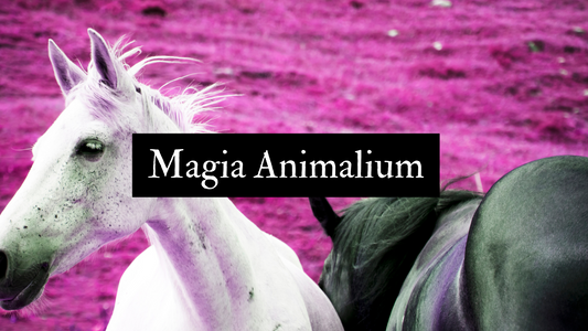 Magia Animalium