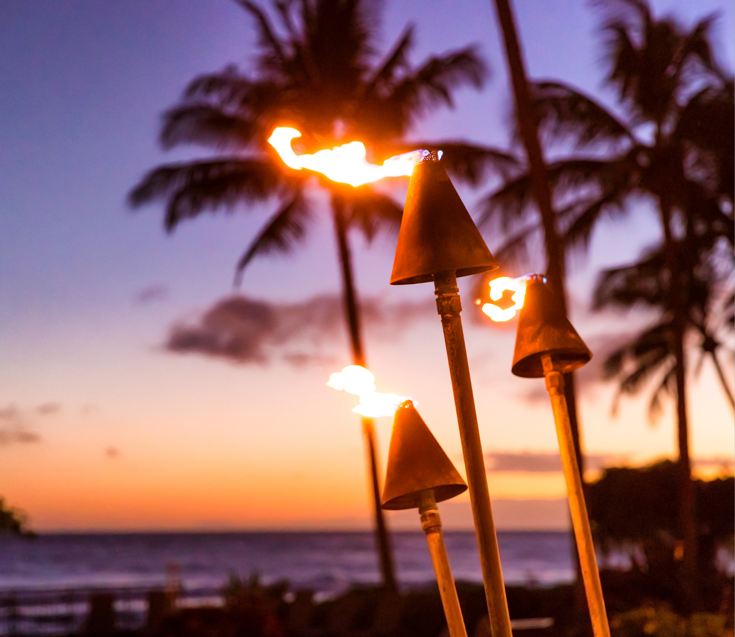 Spiced Citronella