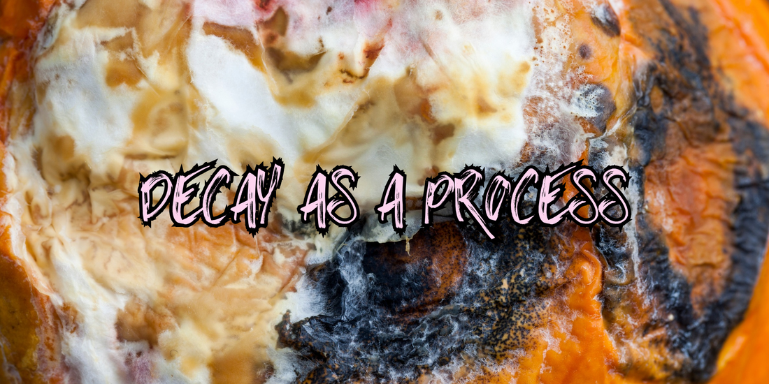 Decay as a Process