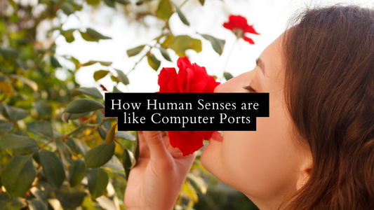 How Human Senses are Like Computer Ports