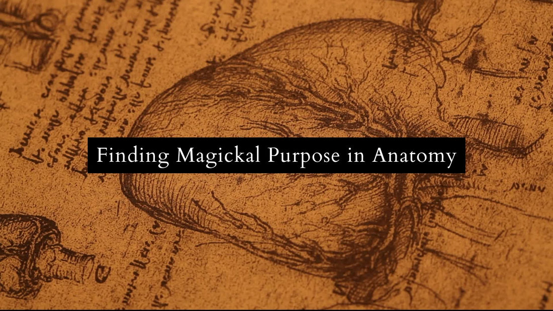 Finding Magickal Purpose in Anatomy