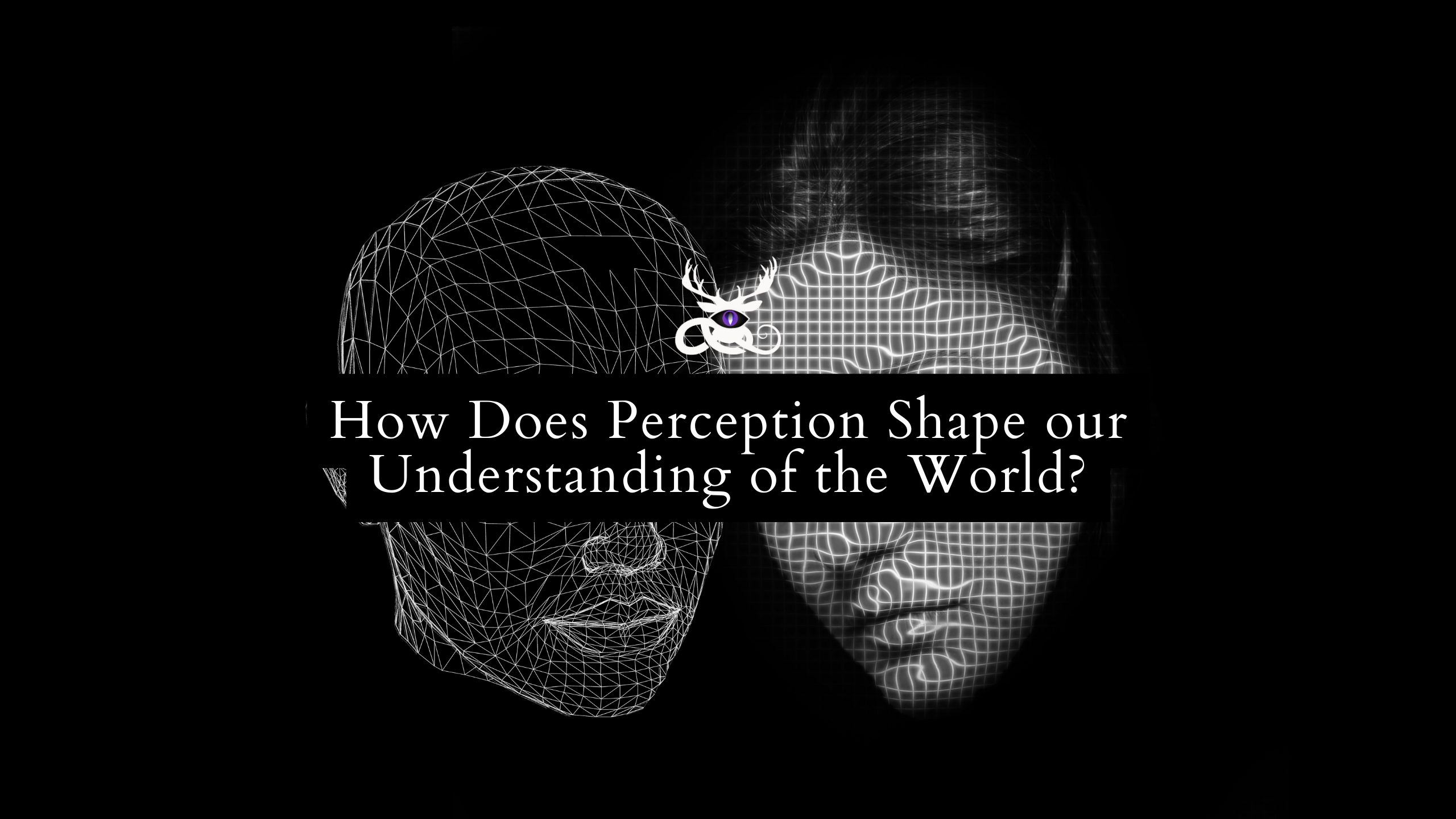 How Does Perception Shape our Understanding of the World? – Jangled Jester