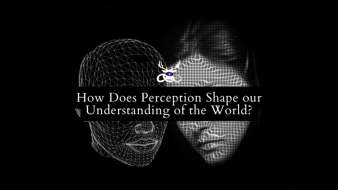 How Does Perception Shape our Understanding of the World?